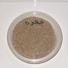 Teucrium ( جعدة )