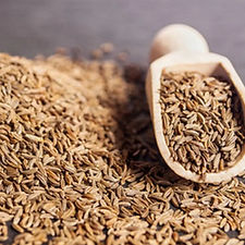 Cumin