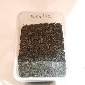 Nettle (نباب القراص)
