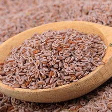 Psyllium Husk ( بذور القاطونة )