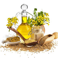 Pure Mustard Oil
