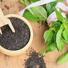 Basil حبق حب