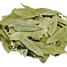 Senna Leaves