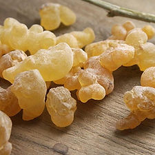 Frankincense لبان الذكر الاصلي