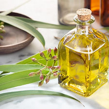 Pure Camphor Oil (زيت الكافور الاصلي)