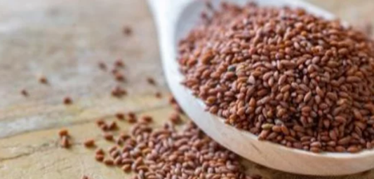 Cress Seeds