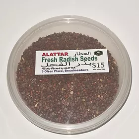 Fresh Radish Seeds ( بذر الفجل )